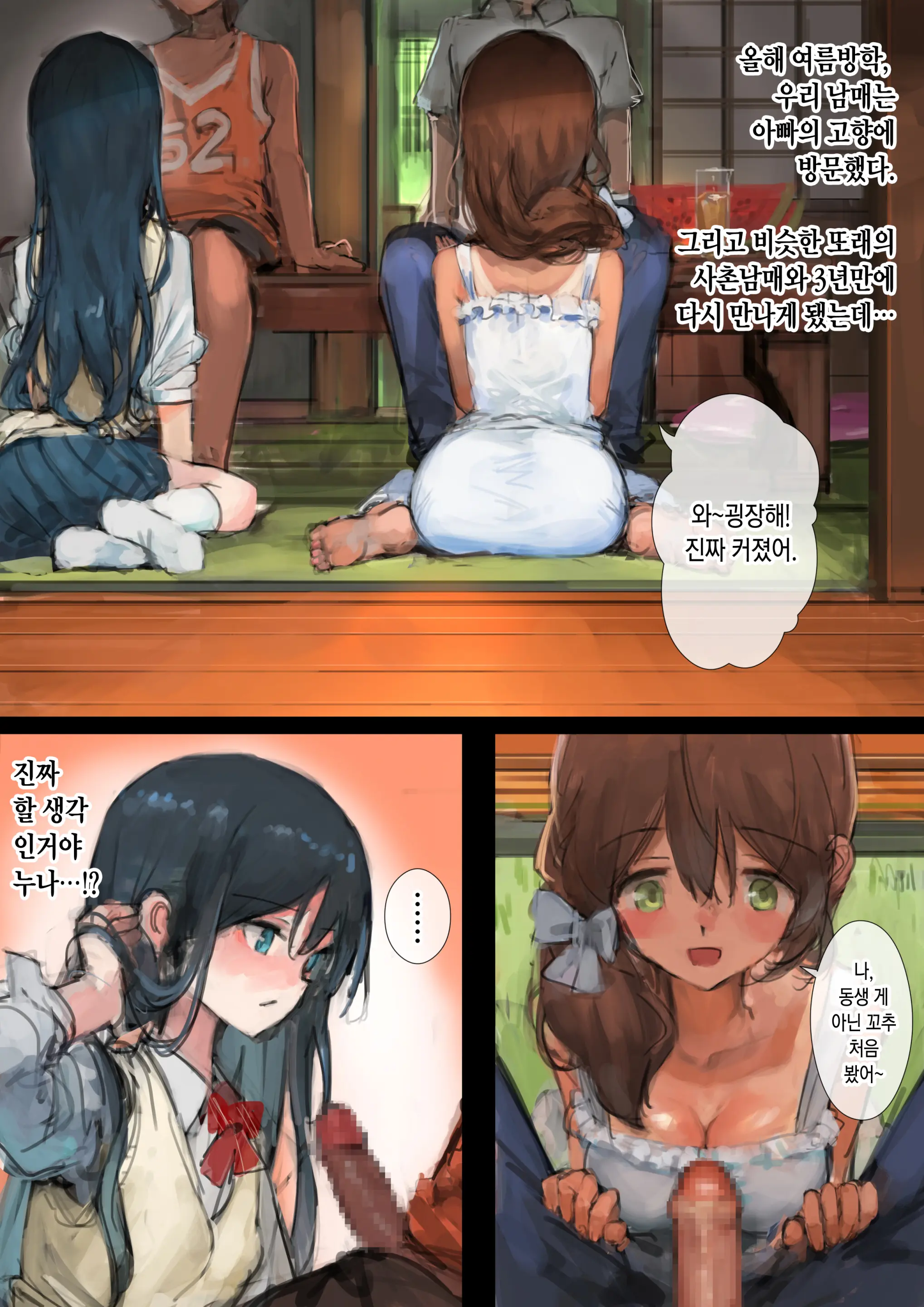 Hi Ni Yakeru Made ~Inaka No Itoko To Ane To Otouto~ _ 살이 탈 때까지 ~시골의 사촌남매와 누나와 동생~